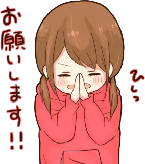 🙏 お願いします!! ひっ Anime, Fille, Mignon, Demande, S'il vous plaît, Supplication telegram sticker