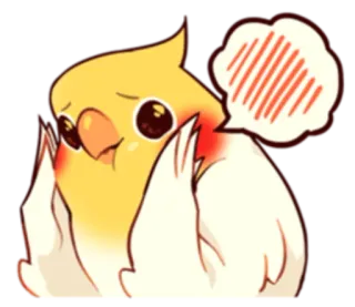 😊 นกค็อกกาเทล, นก, น่ารัก, สัตว์, การ์ตูน, สัตว์เลี้ยง, เขิน, คาวาอิ telegram sticker
