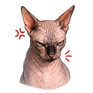Рафа telegram stickers