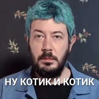 😐 НУ КОТИК И КОТИК 남자, 인물사진, 러시아, 스티커 telegram sticker