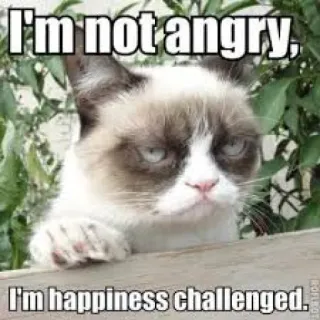😒 Grumpy Cat I'm not angry, I'm happiness challenged. 臭脸猫, 表情包, 猫, 搞笑, 幽默, 讽刺 whatsapp sticker