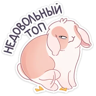 😕 НЕДОВОЛЬНЫЙ ТОП coelho, coelhinho, fofo, animal, orelhas caídas, insatisfeito whatsapp sticker