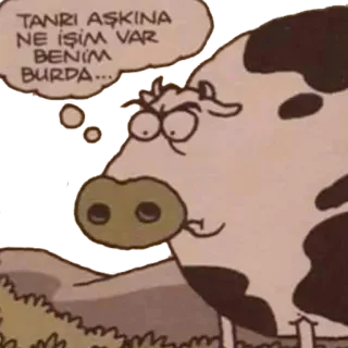 🐂 TANRI AŞKINA NE İŞİM VAR BENİM BURDA... 소, 동물, 말풍선, 만화 telegram sticker