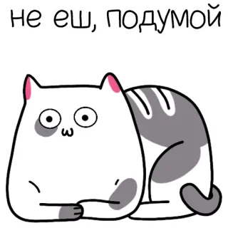 😐 не еш, подумай Katze, süß, lustig, faul, Essen telegram sticker