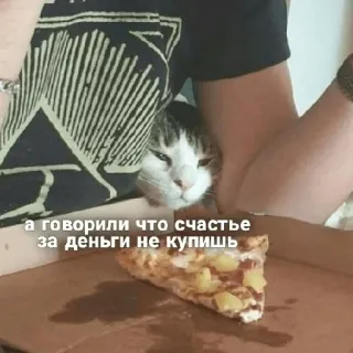 😒 а говорили что счастье за деньги не купишь แมว, พิซซ่า, อารมณ์ขัน, ความสุข, อาหาร, รัสเซีย telegram sticker