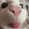 🤪