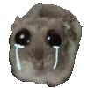 😭