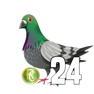 🕊 24 paloma, pájaro, número 24 telegram sticker