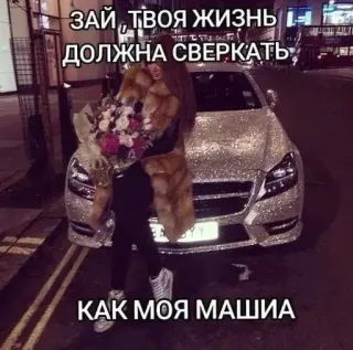 Больше стиков тут: @stikery4 telegram stickers