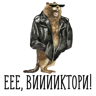 🦦 beaver, leather jacket, sunglasses, animal, cartoon, cool, character telegram sticker