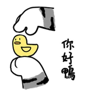 👋 你好鴨 mèo, vịt, động vật, lời chào, dễ thương telegram sticker