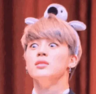 👀 Jimin kpop, จีมิน, bts, ไอดอล, นักร้อง, โคอาลา telegram sticker