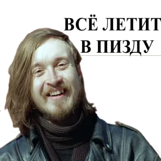 ✈ ВСЁ ЛЕТИТ В ПИЗДУ telegram sticker
