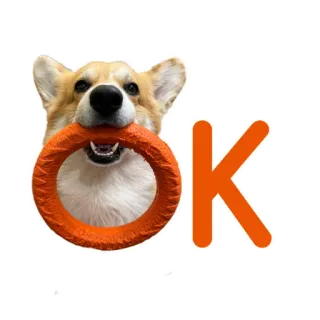 👌 OK hond, corgi, ok, ring telegram sticker