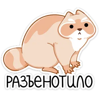 🦝 РАЗЪЕНОТИЛО แรคคูน, สัตว์, น่ารัก, การ์ตูน, สติกเกอร์, รัสเซีย whatsapp sticker