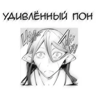 🖤 УДИВЛЁННЫЙ ПОН アニメ, マンガ, びっくり, 顔, ポートレート telegram sticker
