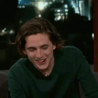 💎 Timothée Chalamet diễn viên, người nổi tiếng, chân dung, người đàn ông telegram sticker