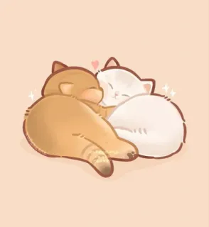 🐱 chats, mignon, animaux, kawaii, amitié, amour telegram sticker