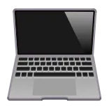 💻