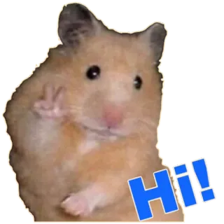 👋 Hi! Hamster, Gruß, Tier, Hallo telegram sticker