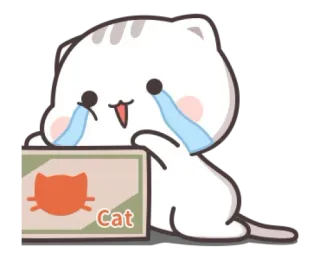 🍼 Cat chat, animal, pleurs, triste, boîte, animal de compagnie, chaton telegram sticker