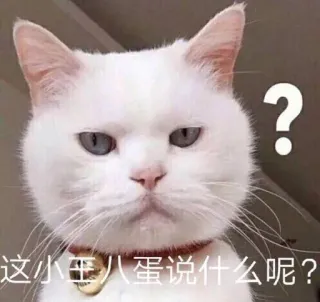 ❓ 这小亚八蛋说什么呢？ gato, ponto de interrogação, gato branco, meme, animal whatsapp sticker