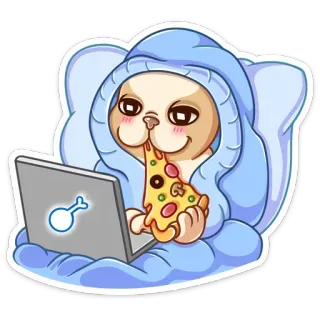 💻 кот, пицца, компьютер, одеяло, пижама, еда telegram sticker