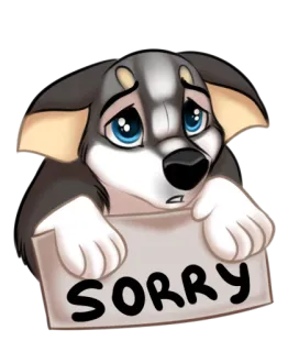 😢 SORRY filhote, cachorro, desculpa, perdão, fofo, animal telegram sticker
