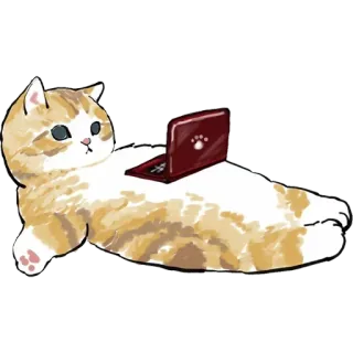 🦥 кот, ноутбук, животное, милый, котенок, интернет telegram sticker