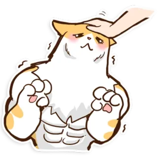 ☺️ gatto, muscoloso, animale domestico, animale, forte, carino, adesivo whatsapp sticker