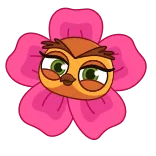 🌸 eule, blume, niedlich, cartoon, tier telegram sticker