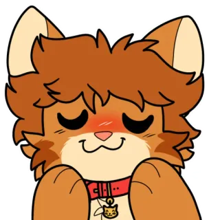 😽 telegram sticker