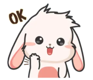 👍 OK coelho, coelhinho, fofo, kawaii, OK, animal, desenho animado telegram sticker