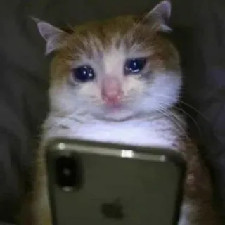 🥺 Sad Cat whatsapp sticker