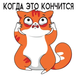 🥵 КОГДА ЭТО КОНЧИТСЯ cat, sad, exhausted, anxious telegram sticker