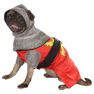 😪 собака, мопс, броня, рыцарь, костюм, питомец whatsapp sticker