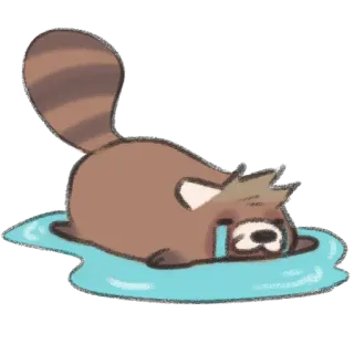 😭 raccoon, crying, sad, cute, animal, cartoon telegram sticker