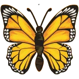 🦋