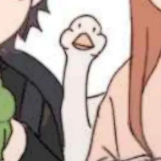 🦢 canard, offensant, doigt d'honneur, mème, dessin animé whatsapp sticker
