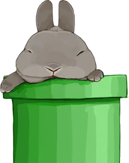 🐰 Hase, Kaninchen, Tier, süß, grün, Rohr whatsapp sticker