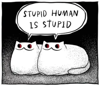 🔴 STUPID HUMAN IS STUPID cat, meme, funny, stupid, human, pet, animal telegram sticker