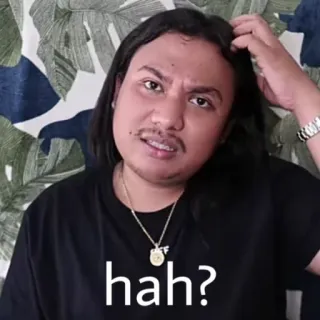 😭 hah? pregunta, confundido, expresión, meme, retrato whatsapp sticker