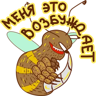 😂 МЕНЯ ЭТО ВОЗБУЖДАЕТ pszczoła, owad, kreskówka, rosyjski tekst, śmieszne, naklejka telegram sticker