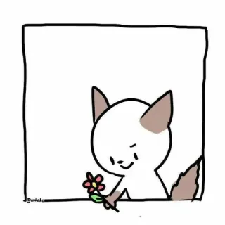 😂 gatto, fiore, carino, animale, kawaii, cartone animato whatsapp sticker