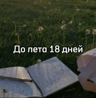 ☀️ До лета 18 дней verano, días, cuenta atrás, cuaderno, hierba, naturaleza telegram sticker