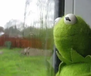 🙁 Kermit Kermit la rana, triste, pensando, lluvia, ventana, muppet, rana telegram sticker