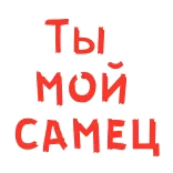 😍 Ты мой самец ロシア語, テキスト, ステッカー, ロマンチック, 愛, 男性, 男性 telegram sticker