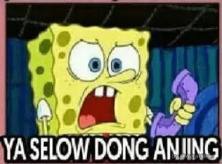 😲 Spongebob Squarepants YA SELOW DONG ANJING Spongebob, marah, kartun whatsapp sticker