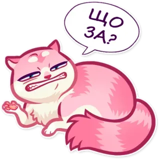 🤨 ЩО ЗА? kucing, merah muda, marah, stiker, ekspresi whatsapp sticker