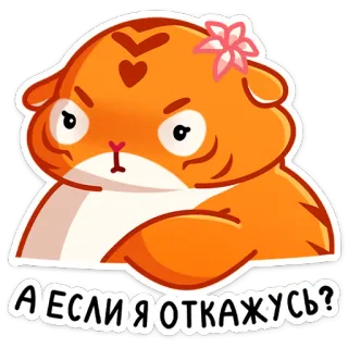🙅‍♀ А если я откажусь? แมว, น่ารัก, สติกเกอร์, สีส้ม, ดอกไม้, โกรธ telegram sticker